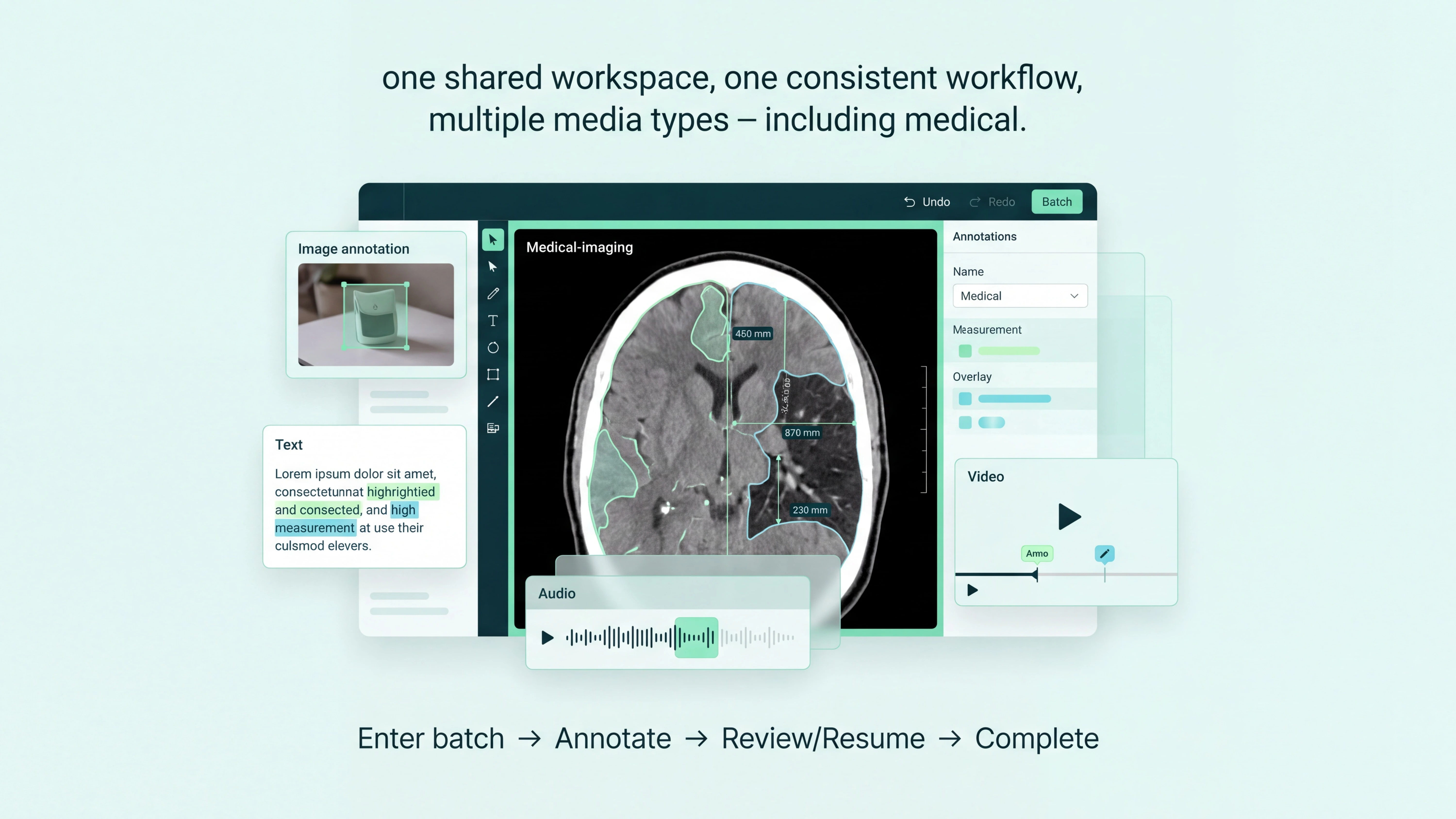 One shared workspace covering image, text, audio, video and medical imaging: a medical-imaging viewer with segmentation overlays and measurement callouts sits beside image, text, audio and video annotation panels, with undo, redo and batch controls in the header and the same enter batch, annotate, review or resume, complete path across every media type.